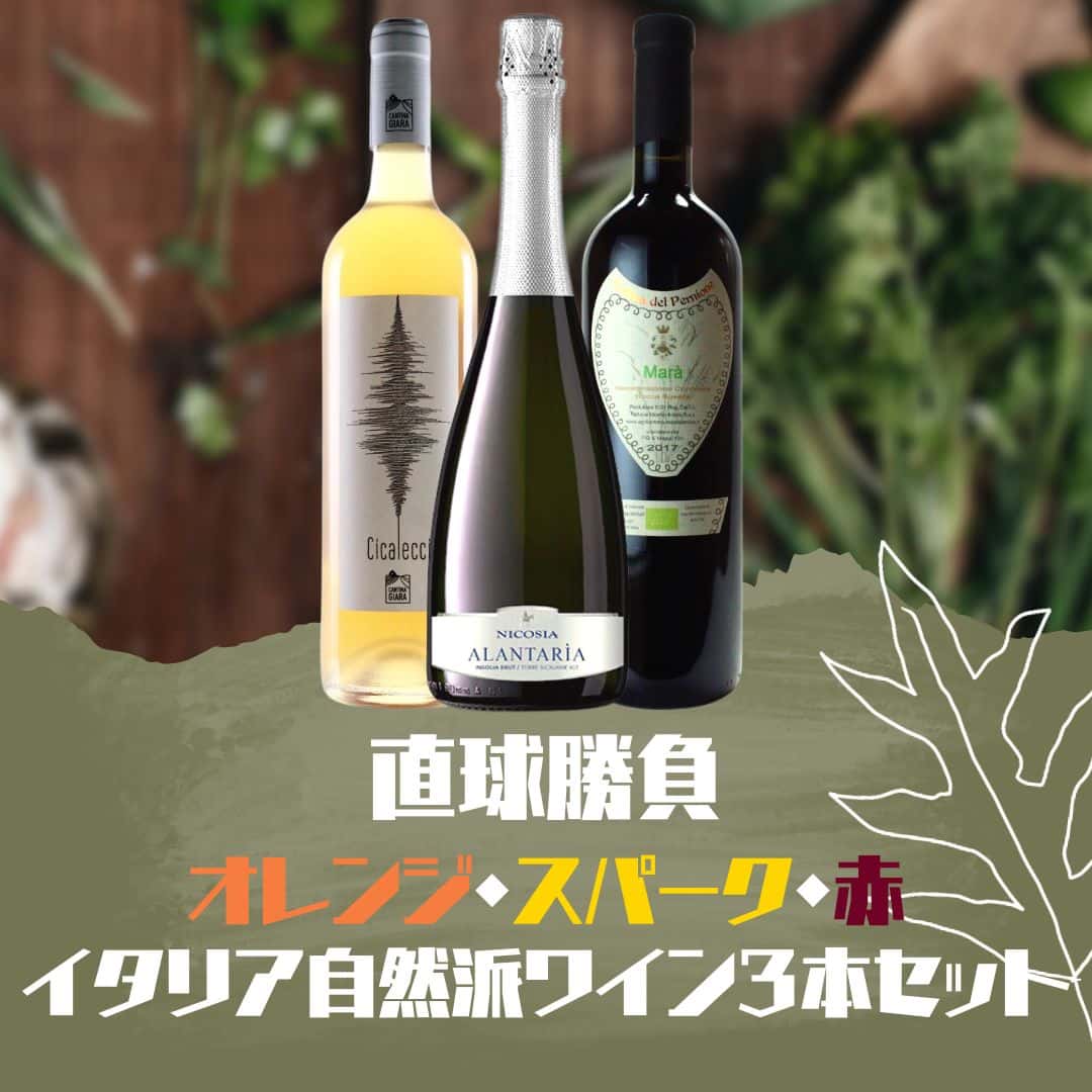 直球勝負　【オレンジ・スパークリング・赤】イタリア自然派ワイン3本セット